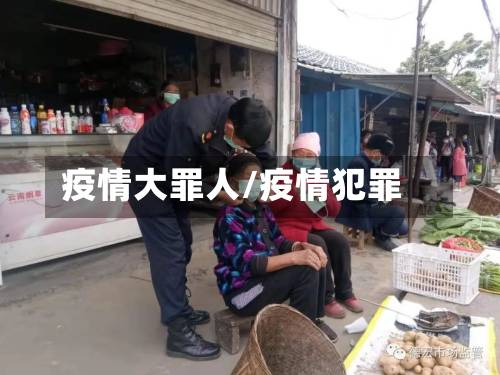 疫情大罪人/疫情犯罪-第2张图片