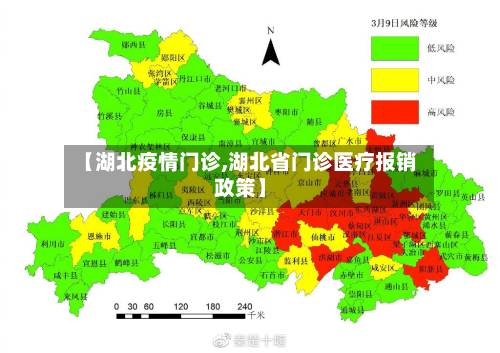 【湖北疫情门诊,湖北省门诊医疗报销政策】-第2张图片