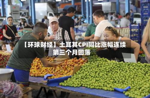 【环球财经】土耳其CPI同比涨幅连续第三个月回落-第2张图片