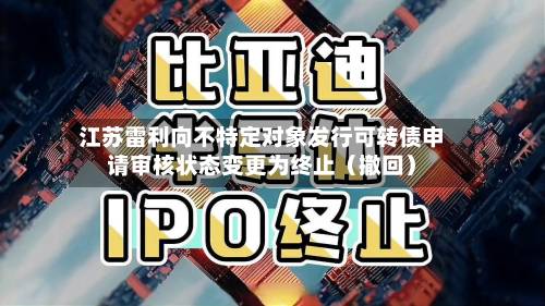 江苏雷利向不特定对象发行可转债申请审核状态变更为终止（撤回）-第2张图片