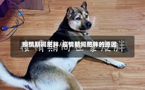 疫情期间肥胖/疫情期间肥胖的原因-第2张图片