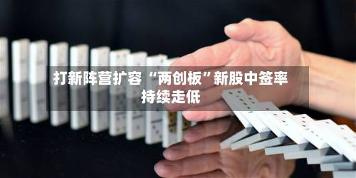 打新阵营扩容 “两创板	”新股中签率持续走低-第1张图片