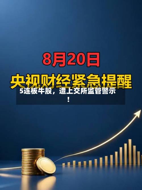 5连板牛股，遭上交所监管警示！-第2张图片