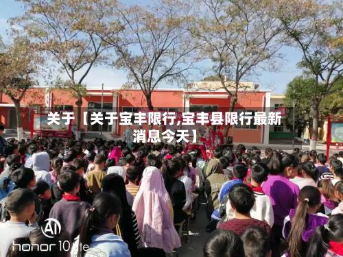 关于【关于宝丰限行,宝丰县限行最新消息今天】-第3张图片