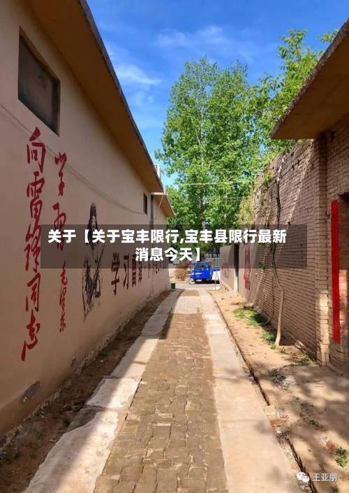 关于【关于宝丰限行,宝丰县限行最新消息今天】-第2张图片