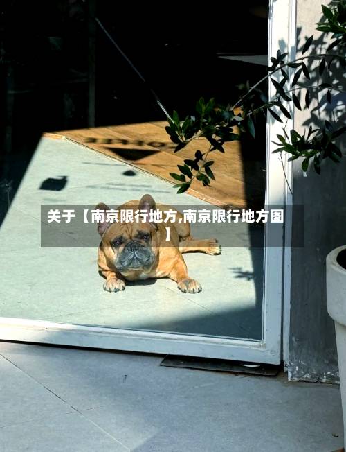 关于【南京限行地方,南京限行地方图】