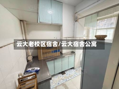 云大老校区宿舍/云大宿舍公寓-第3张图片