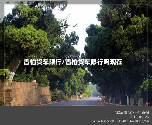 古柏货车限行/古柏货车限行吗现在-第2张图片
