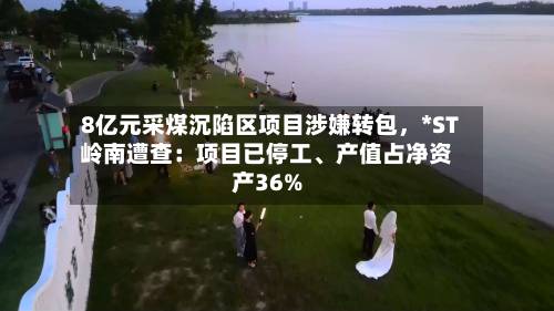 8亿元采煤沉陷区项目涉嫌转包	，*ST岭南遭查：项目已停工、产值占净资产36%-第2张图片