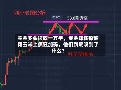 黄金多头被砍一万手，资金却在原油和玉米上疯狂加码	，他们到底嗅到了什么？-第3张图片