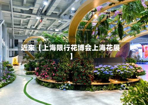 近来【上海限行花博会上海花展】-第3张图片