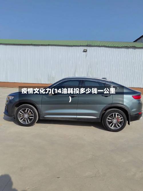 疫情文化力(14油耗投多少钱一公里)-第2张图片