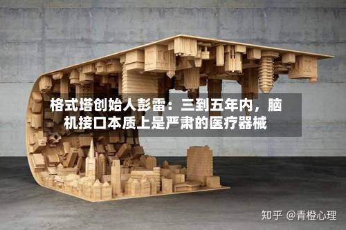 格式塔创始人彭雷：三到五年内，脑机接口本质上是严肃的医疗器械-第2张图片