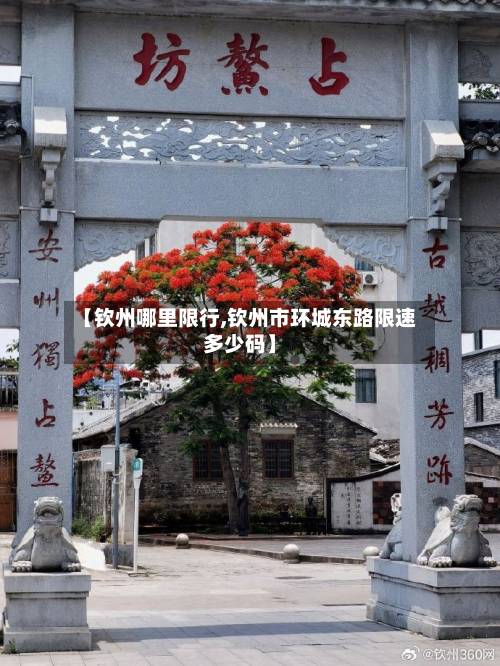 【钦州哪里限行,钦州市环城东路限速多少码】