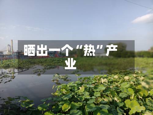 晒出一个“热	”产业-第2张图片