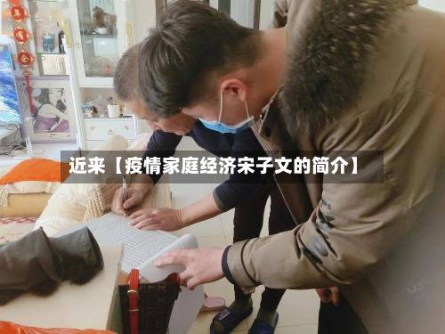 近来【疫情家庭经济宋子文的简介】-第2张图片