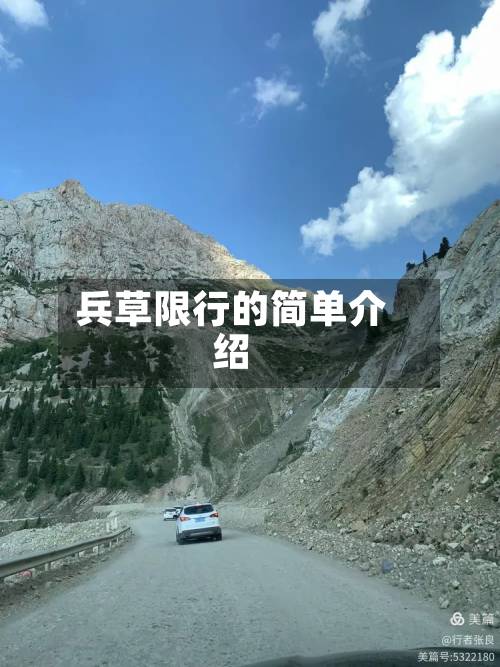 兵草限行的简单介绍-第3张图片