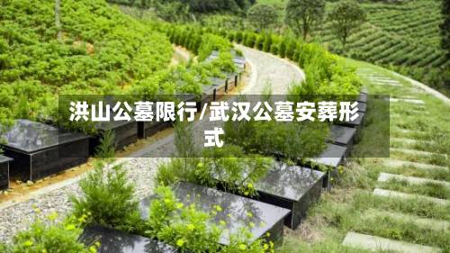 洪山公墓限行/武汉公墓安葬形式-第2张图片
