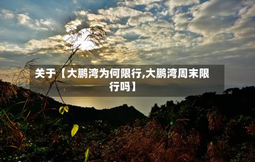 关于【大鹏湾为何限行,大鹏湾周末限行吗】-第2张图片