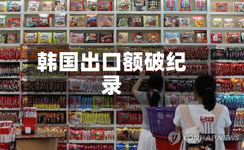 韩国出口额破纪录