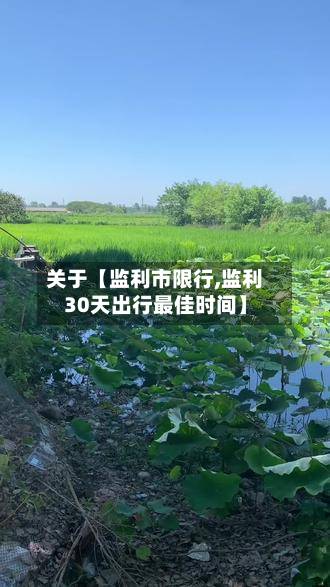关于【监利市限行,监利30天出行最佳时间】-第2张图片