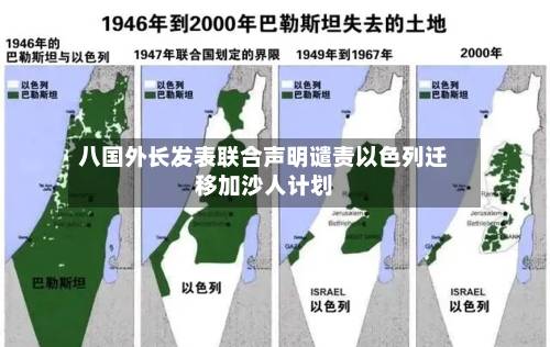 八国外长发表联合声明谴责以色列迁移加沙人计划-第2张图片