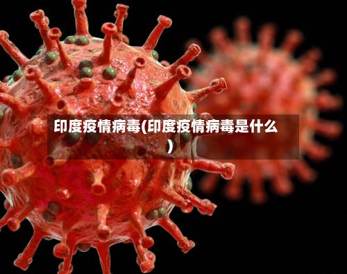 印度疫情病毒(印度疫情病毒是什么)-第2张图片