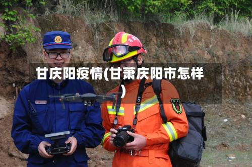 甘庆阳疫情(甘萧庆阳市怎样)-第2张图片