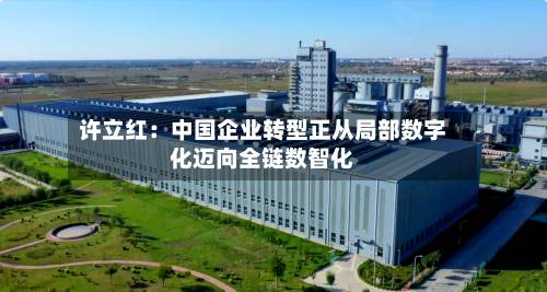 许立红：中国企业转型正从局部数字化迈向全链数智化-第3张图片