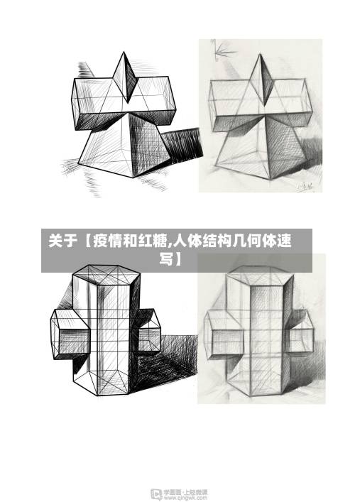 关于【疫情和红糖,人体结构几何体速写】-第2张图片