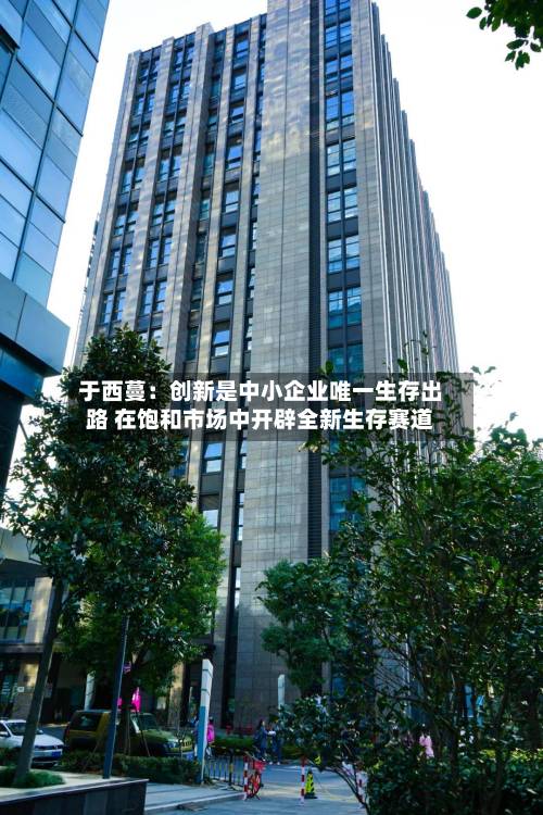 于西蔓：创新是中小企业唯一生存出路 在饱和市场中开辟全新生存赛道