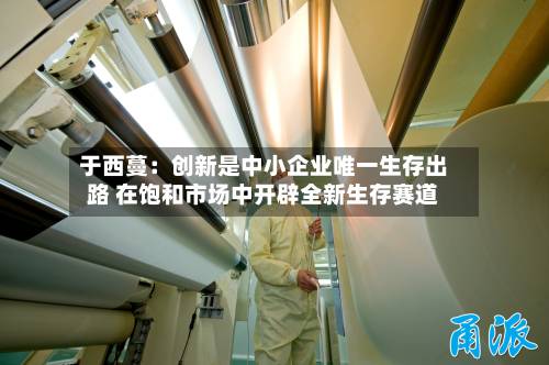 于西蔓：创新是中小企业唯一生存出路 在饱和市场中开辟全新生存赛道-第3张图片