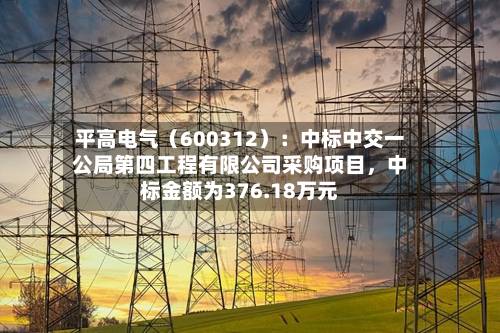 平高电气（600312）：中标中交一公局第四工程有限公司采购项目，中标金额为376.18万元