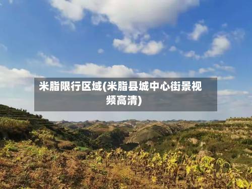 米脂限行区域(米脂县城中心街景视频高清)-第3张图片