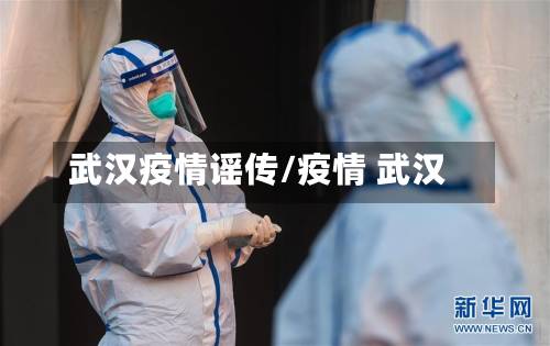 武汉疫情谣传/疫情 武汉