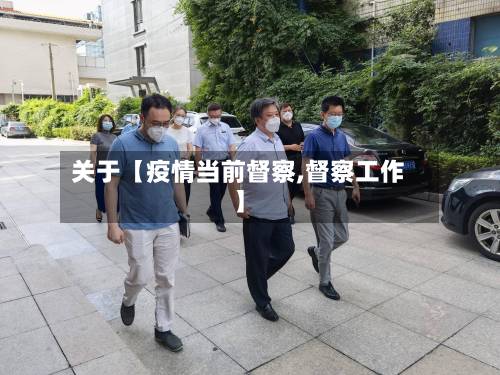 关于【疫情当前督察,督察工作】-第2张图片