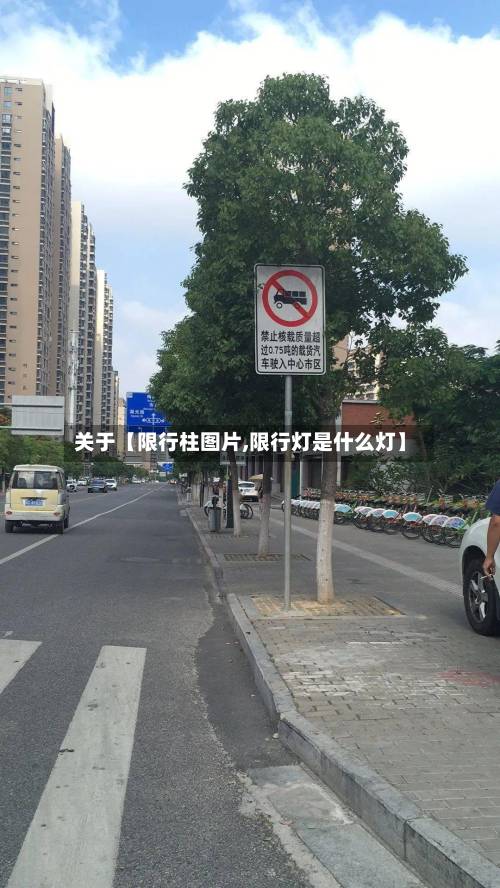 关于【限行柱图片,限行灯是什么灯】