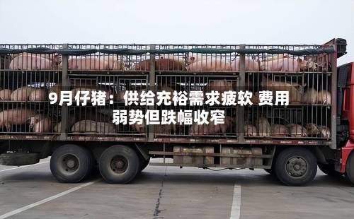 9月仔猪：供给充裕需求疲软 费用弱势但跌幅收窄-第1张图片