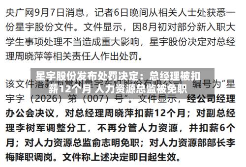星宇股份发布处罚决定：总经理被扣薪12个月 人力资源总监被免职-第2张图片