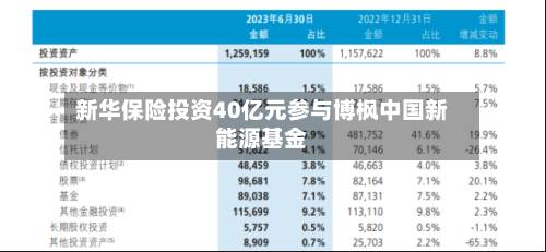 新华保险投资40亿元参与博枫中国新能源基金