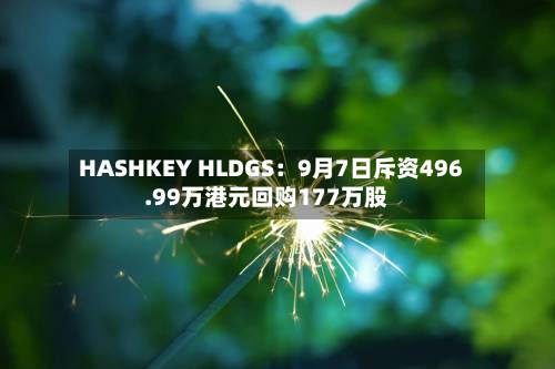HASHKEY HLDGS：9月7日斥资496.99万港元回购177万股-第3张图片