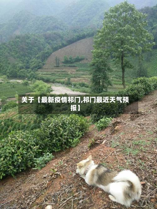 关于【最新疫情祁门,祁门最近天气预报】