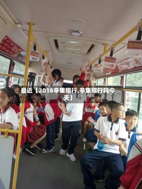 最近【2018辛集限行,辛集限行吗今天】-第2张图片