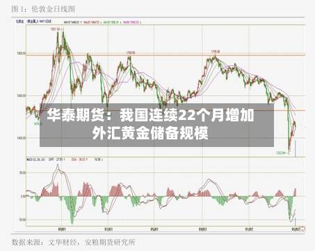 华泰期货:我国连续22个月增加外汇黄金储备规模-第1张图片