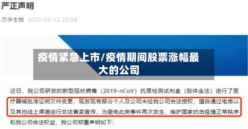 疫情紧急上市/疫情期间股票涨幅最大的公司
