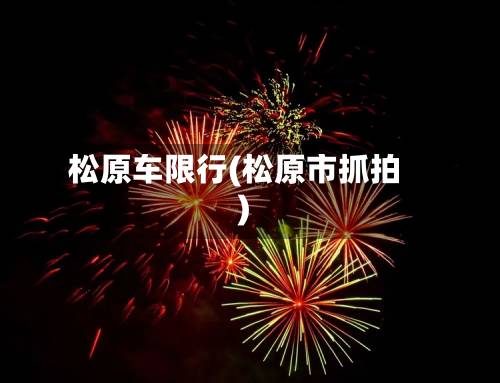 松原车限行(松原市抓拍)-第2张图片