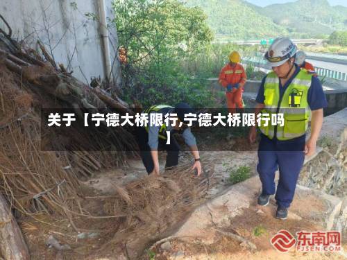 关于【宁德大桥限行,宁德大桥限行吗】-第2张图片