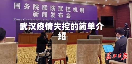 武汉疫情失控的简单介绍-第2张图片