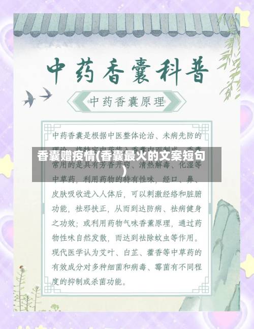 香囊赠疫情(香囊最火的文案短句)