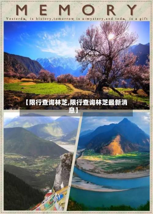 【限行查询林芝,限行查询林芝最新消息】